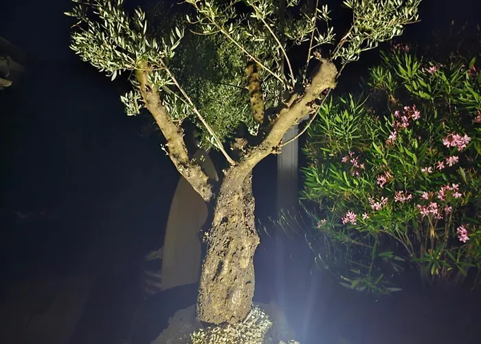 Kwatera prywatna Chezoulalandaise